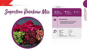 Superfine Rainbow Mix - Jardim
