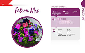 Falcon Mix - Jardim