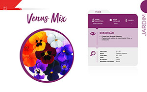 Venus Mix - Jardim