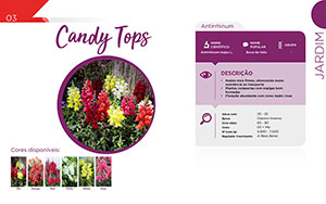 Candy Tops - Jardim