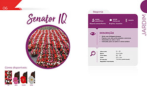 Senator IQ DESCRIÇÃO - Jardim