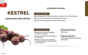 Kestrel - Bulbos e Raízes