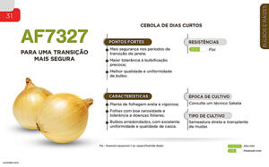 AF7327 - Bulbos e Raízes