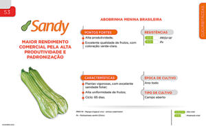 Sandy - Cucurbitáceas