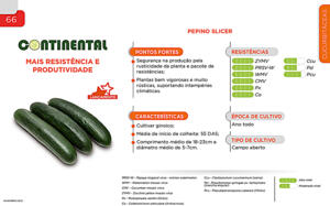 Continental - Cucurbitáceas