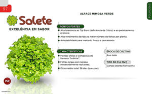 Salete - Folhosas