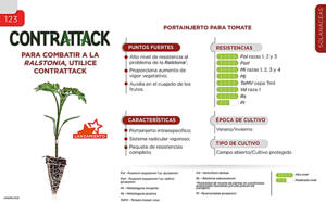 Contrattack - Solanáceas