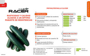 Racer - Cucurbitáceas