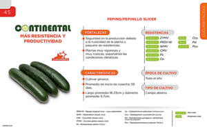 Continental - Cucurbitáceas