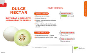Dulce Nectar - Cucurbitáceas