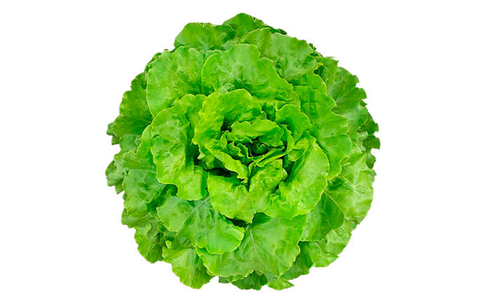 Regianemil