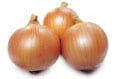Cebola